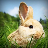 /album/tu-casa-finca-raiz-com/photolia-a03-jpg/