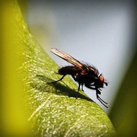 /album/tu-casa-finca-raiz-com/photolia-a04-jpg/