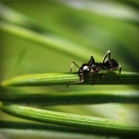 /album/tu-casa-finca-raiz-com/photolia-a05-jpg/