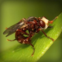 /album/tu-casa-finca-raiz-com/photolia-a06-jpg/