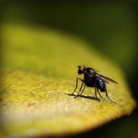 /album/tu-casa-finca-raiz-com/photolia-a07-jpg/