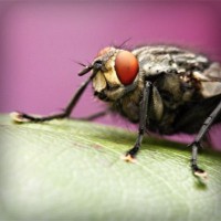 /album/tu-casa-finca-raiz-com/photolia-a08-jpg/